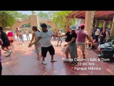 Gozadera en clase de Timba Casino | Parque México 🕺🏽 🥳🤩​⁠ ​⁠​⁠​⁠@timbacasino3745