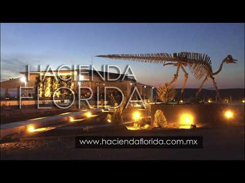 Hacienda Florida: Nuestra terraza para Bodas y eventos especiales