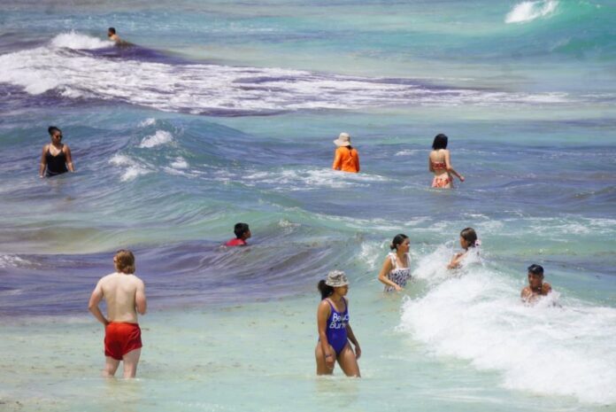 Waders frolicking in the ocean