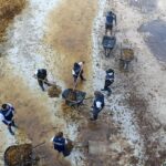 Despite heroic clean-up efforts, sargassum keeps accumulating on Quintana Roo’s coast men working in seaweed off the coast