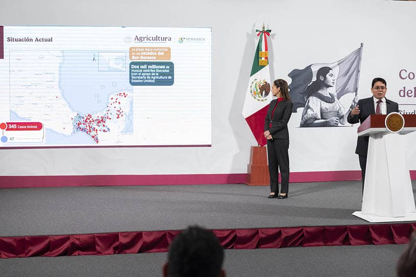A man at a podium presents a map of Mexico showing the location of screwworm cases, mainly in the Yucatán Peninsula.
