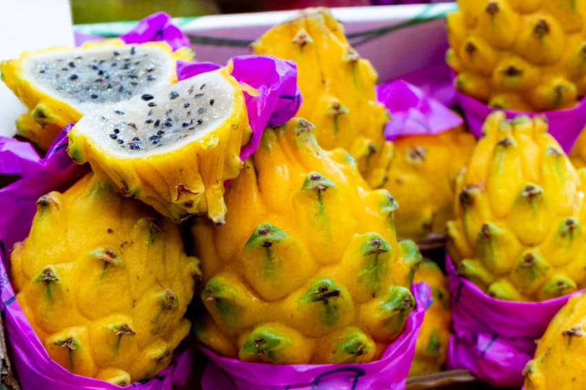 Yellow pitahaya fruit