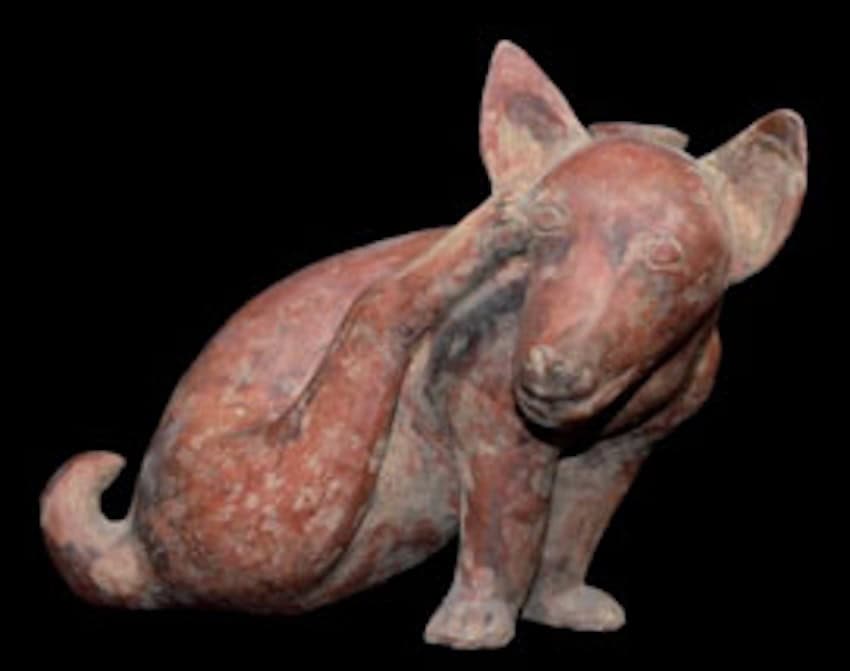 A mexican artifact of a dog