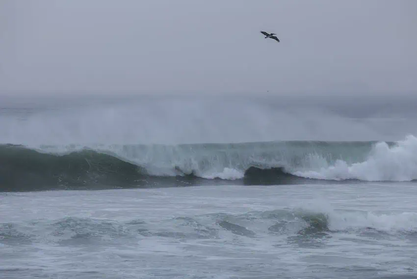tsunami warning Mexico