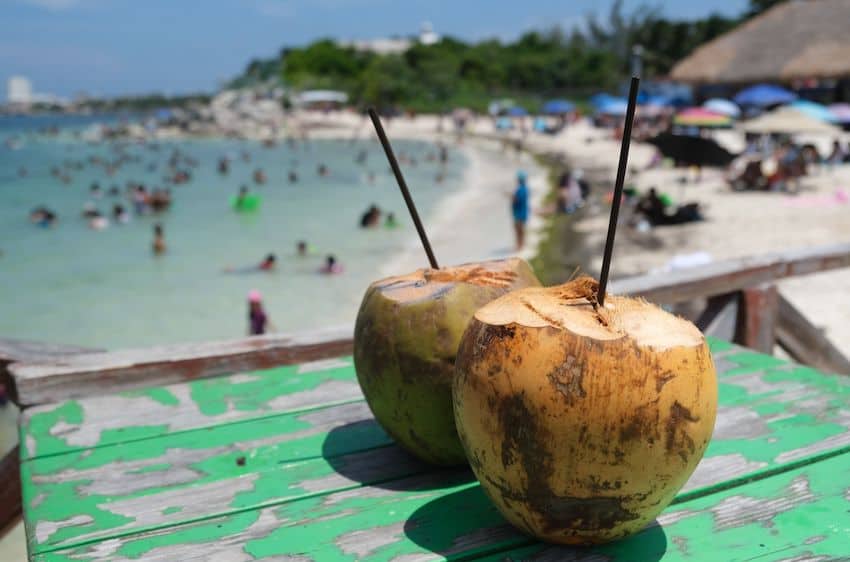 Two coconuts with straws on a table next to a Caribbean beach