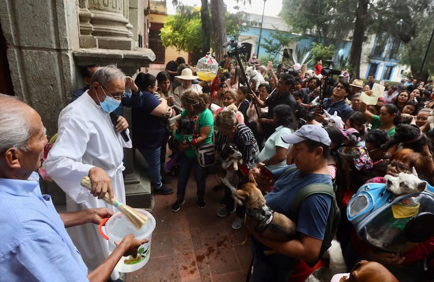A crowd gathering at a cathedral to offer their pets for blessing