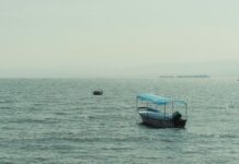 Lake Chapala is currently at 54.63% of its capacity — a 14 percentage-point improvement over July 21, 2024.