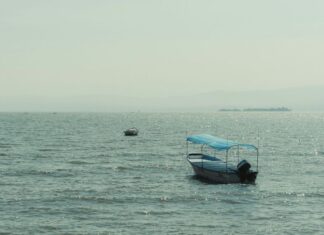 Jalisco and Guanajuato area water reservoirs rebound after heavy rains Lake Chapala is currently at 54.63% of its capacity — a 14 percentage-point improvement over July 21, 2024.