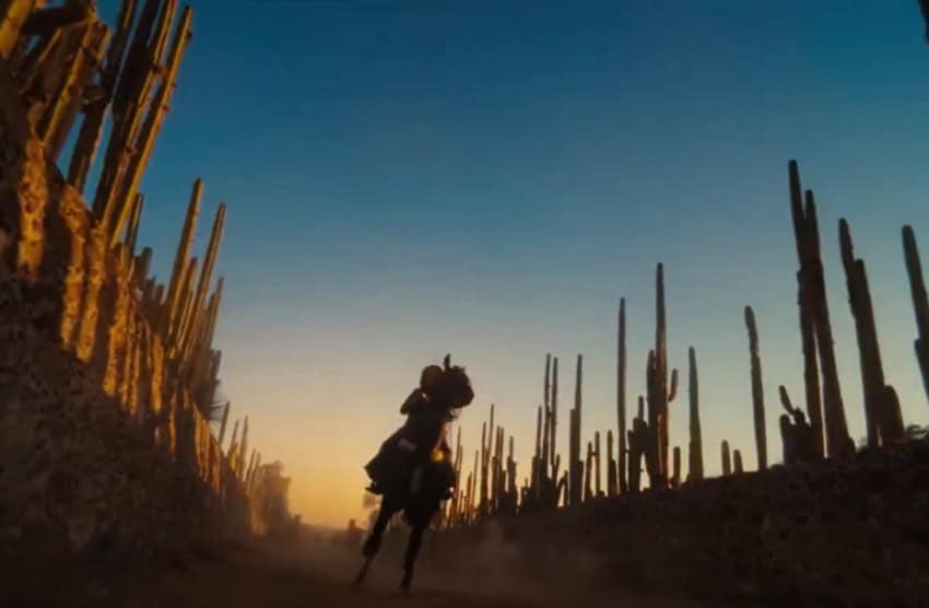 A horse and rider gallop through a stan of cactus