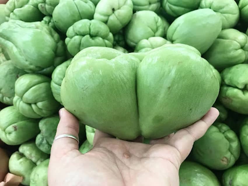 A person's open palm holding a chayote fruit in front of a stack of chayotes. The hand has a gold band on their thumb