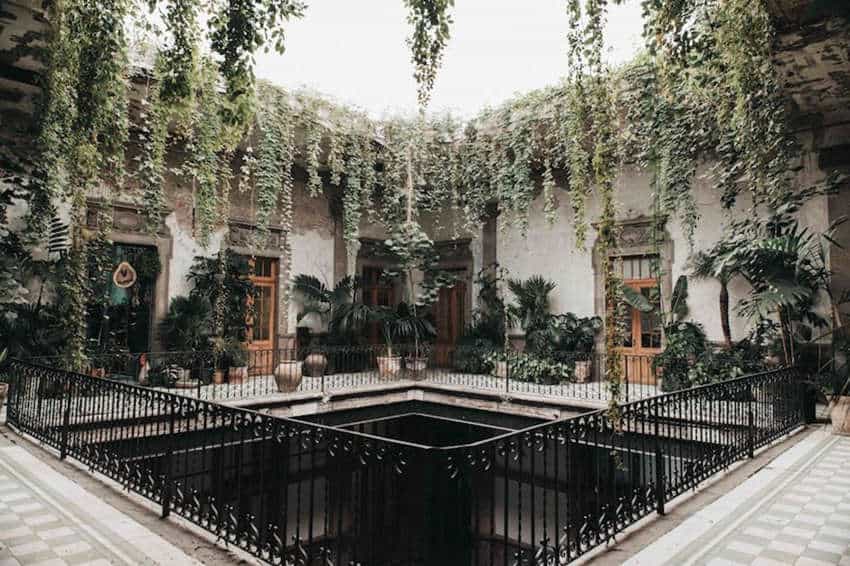An interior courtyard of an old building, with lush green vines cascading down from the upper levels and various potted plants and small trees arranged around the lower floor. A square opening in the center of the courtyard is surrounded by a black metal railing.