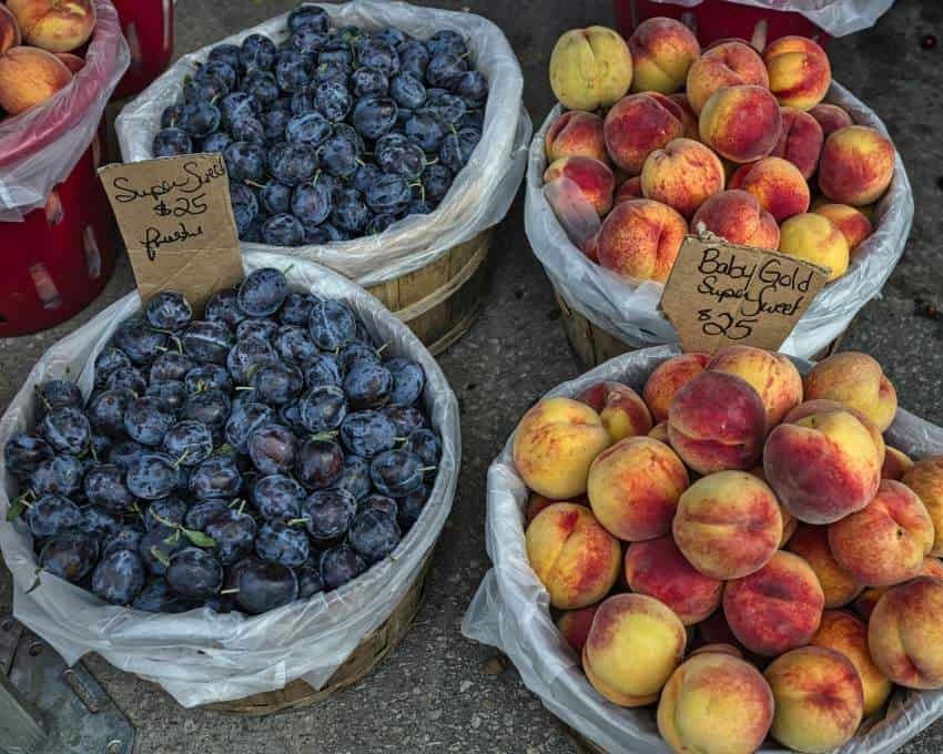 Four baskets of stone fruits: two of dark purple ripe plums and two filled wtih ripening peaches.