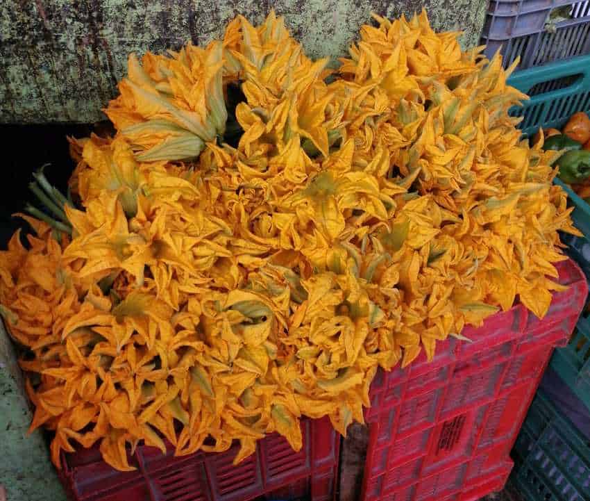 Clusters of fresh, bright yellow-orange squash blossoms with hints of green stems are piled high in a red, slotted plastic market crate, with other crates subtly visible in the background.