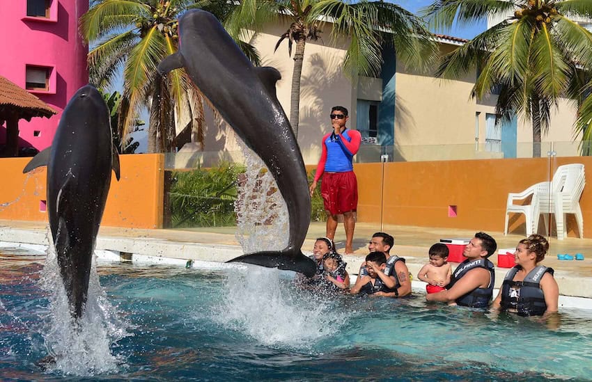 Two dolphins jumping into the air in front of a family at a Mexican dolphin show