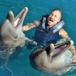 What was a visit to one of Mexico’s banned dolphin shows really like? A man swimming with two dolphins at Delfiniti Ixtapa dolphinarium