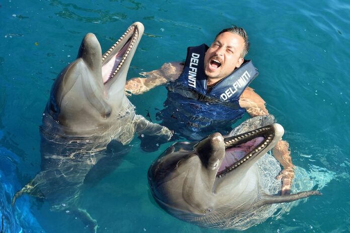 A man swimming with two dolphins at Delfiniti Ixtapa dolphinarium