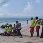 Puerto Vallarta on crocodile alert as encounters with humans increase lifeguards restarin a crocodile on a beach