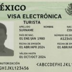prototype e.visa