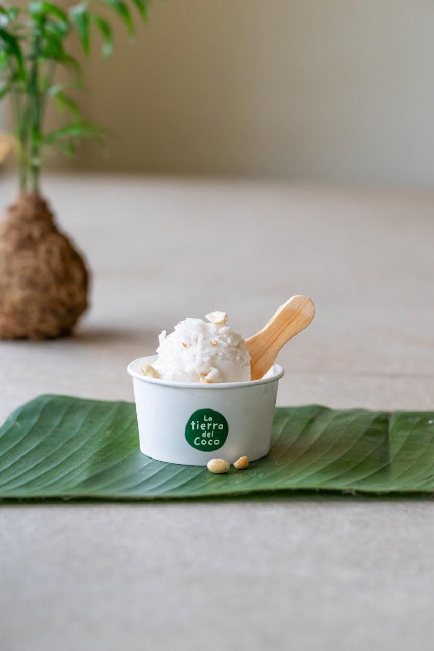 Ice cream cup with a scoop of coconut ice cream and a wooden ice cream spoon.