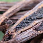 Taste of Mexico: Vanilla Charred vanilla pods