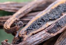 Taste of Mexico: Vanilla Charred vanilla pods