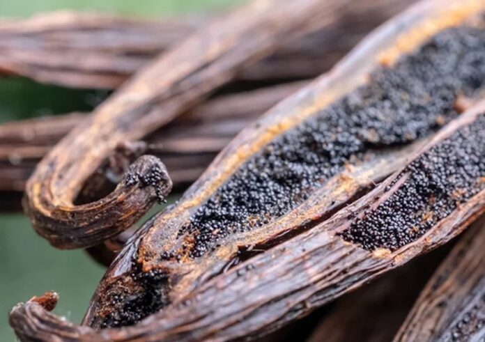 Charred vanilla pods