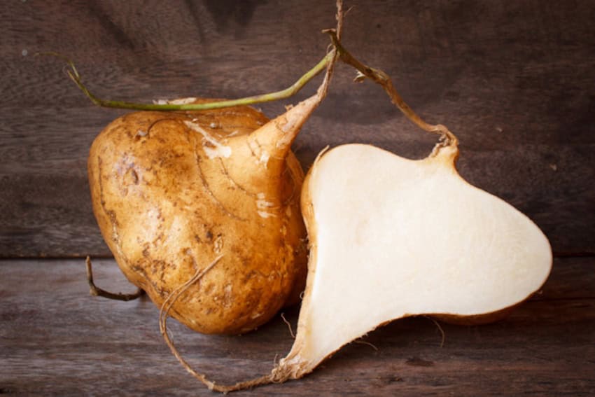 A Jicama
