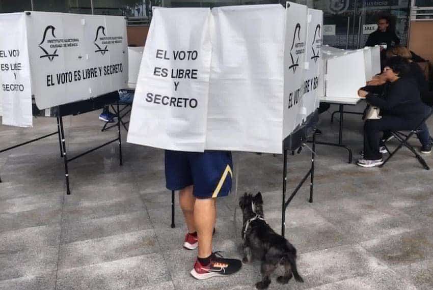 A voter near Parque Delta in Mexico City on June 1, 2025