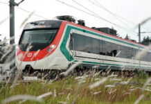 What’s next for Mexico’s growing rail system? Officials share advances in Nuevo León, Guadalajara, SLP, Sinaloa and more A red, white and green train speeds through a field.