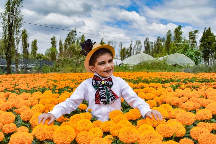 A child dressed in traditional Mexican clothing in a field of marigolds