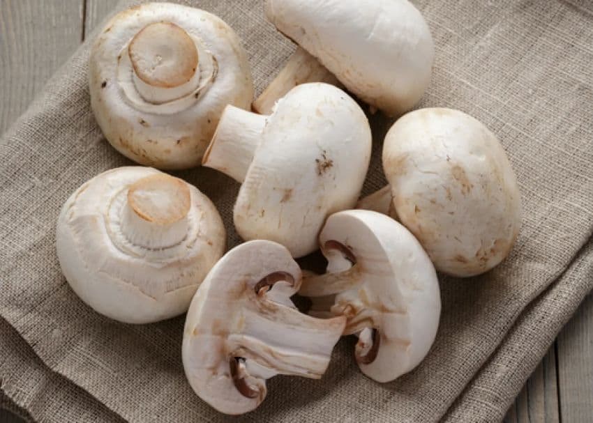 A close-up view of whole and halved white button mushrooms (Agaricus bisporus) with their creamy white caps and light brown gills visible, arranged on a textured, light brown fabric surface.