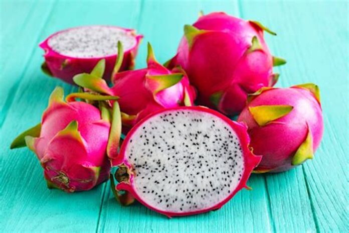 Pitahaya Dragon Fruit