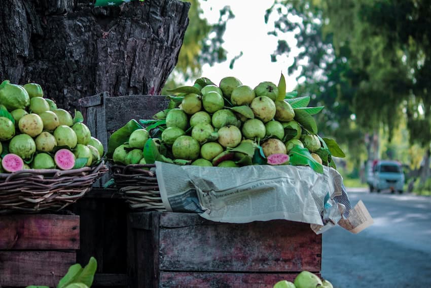 Guavas in a box