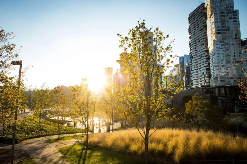 Sunrise in Parque La Mexicana, Santa Fe, Mexico City
