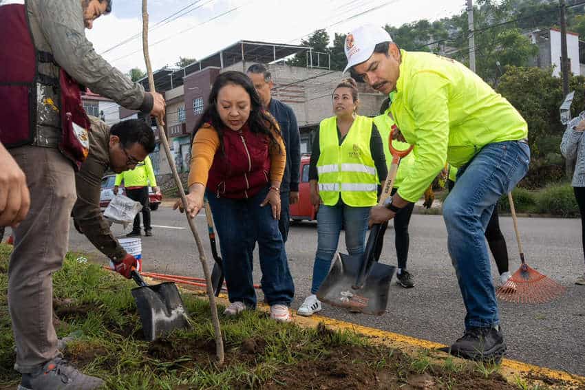 Mexican community members plant saplings for urban reforestation in Oaxaca de Juarez, Mexico.