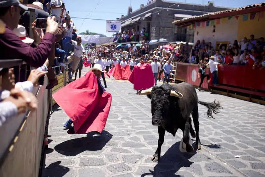 Amateur bull runners with red capes dodge a black bull on a cobblestone street in Xico, Veracruz, while crowds watch from makeshift bleachers during La Xiqueñada festival.