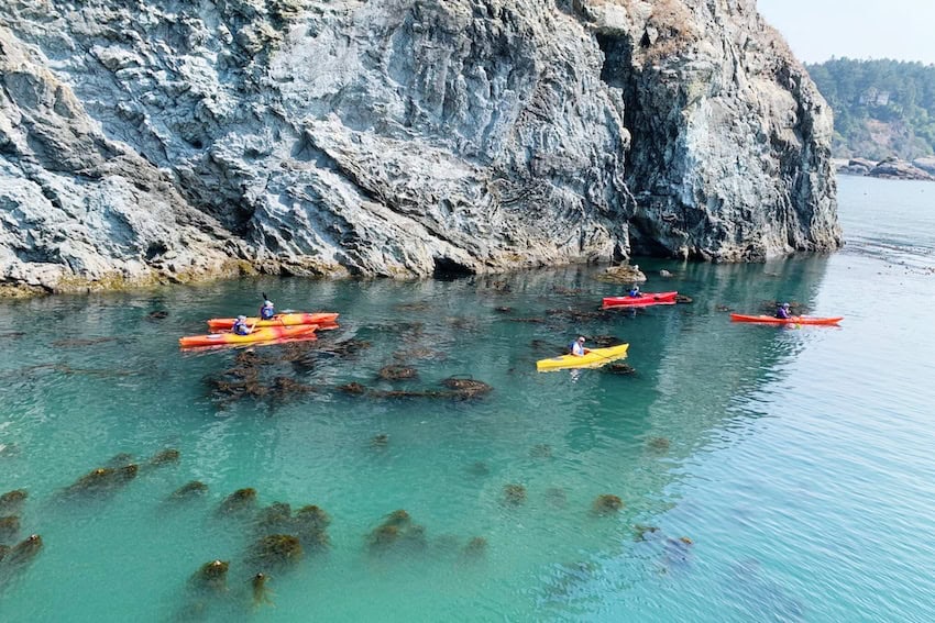 Kayakers on a bay in Eureka, Califonia