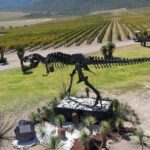 A statue of a dinosaur overlooking a vineyard in Coahuila, Mexico