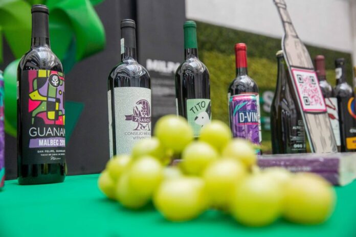 Foreground: bunch of green grapes. Background: bottles of wine in a row.